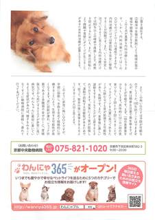 ɂuvol4i@j_y[W_2.jpg