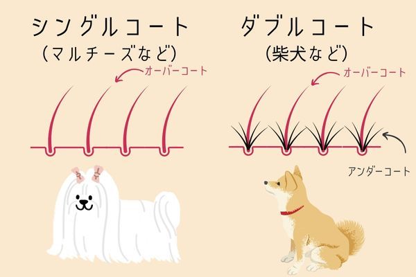 犬 ダブル コート と は