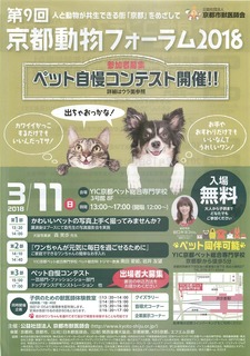 京都動物フォーラムpdf.jpg