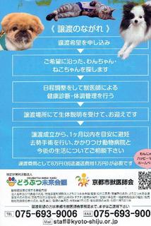 happy mutch_000002.jpg