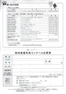 CCF20250619_000006.jpg