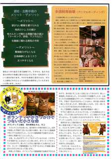 アイランド通信2_1.jpg
