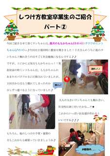 パピークラス新聞Aももか・ミント_1.jpg