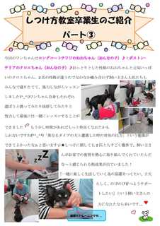 パピークラス新聞Bねね・クロエ.jpg