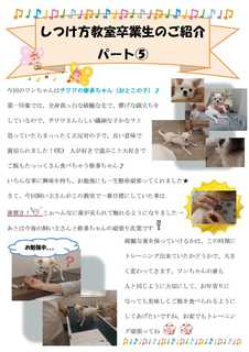 パピークラス新聞D修多.jpg