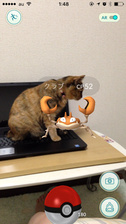 ポケモンGo.PNG