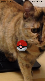 ポケモンGo2.PNG