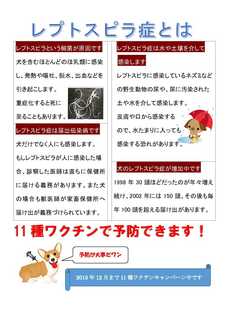 レプトスピラ→ワクチン.jpg
