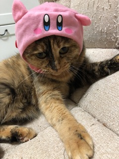 三吉さん.JPG