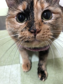 三吉2.JPG
