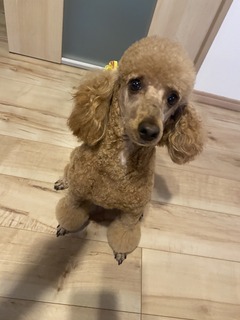 今井さん1−1.jpg
