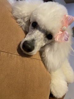 今井さん1−2.jpg