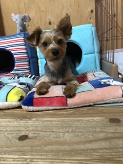 加瀬さん3.jpg