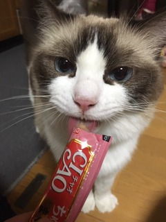 北村さん3.JPG
