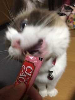 北村さん4.JPG