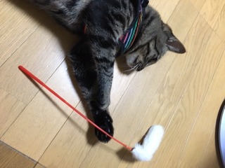 北村2.jpeg