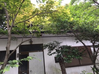 北村5.jpeg