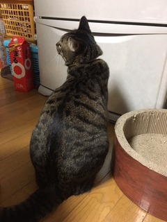 北村6.jpeg