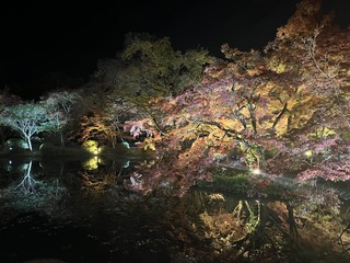 岡村さん3.jpg