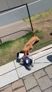木村さん2.jpeg
