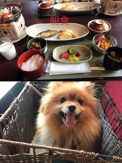 松尾6.jpeg