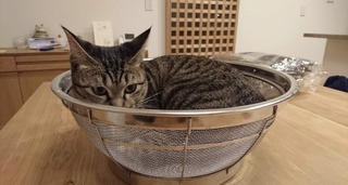 村先生7.jpg