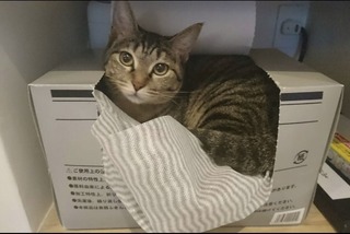 村先生1.jpg